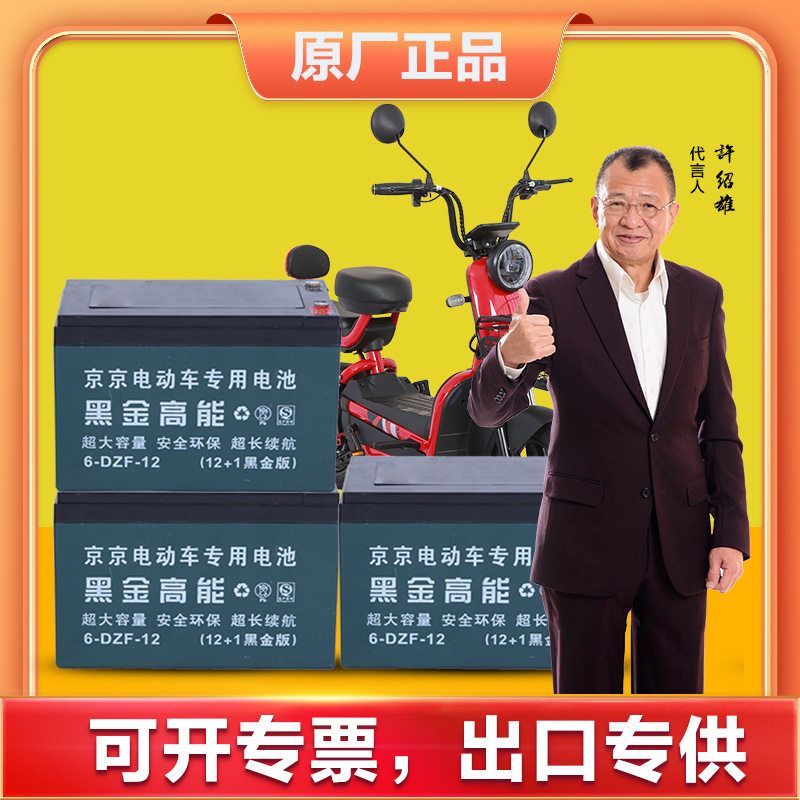 京京天能超威新能源电动车铅酸电池电瓶48v60v72v12a20a45a100a
