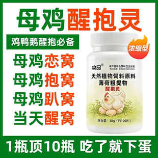 醒抱灵鸡不抱窝专用恋窝趴窝不下蛋鸡鸭鹅鸽家禽通用趴窝不起速醒