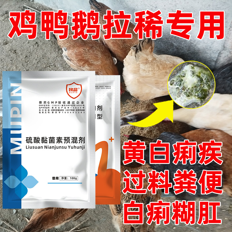 禽类专用拉稀腹泻套餐黄白痢水便过料白痢糊肛肠道问题消化不好