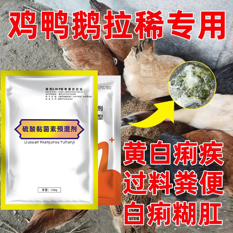 禽类专用拉稀腹泻套餐黄白痢水便过料白痢糊肛肠道问题消化不好