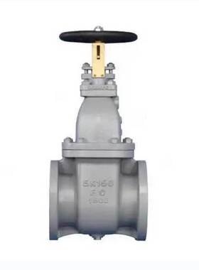 船用日标法兰闸阀铸铁JISF7363 5K 750801 750802 750803 750804