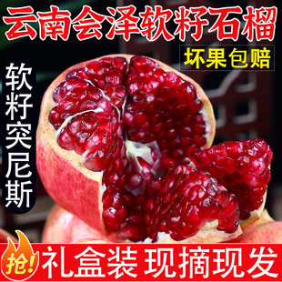 正宗云南会泽盐水突尼斯软籽甜石榴特大果当季新鲜中秋水果礼盒装