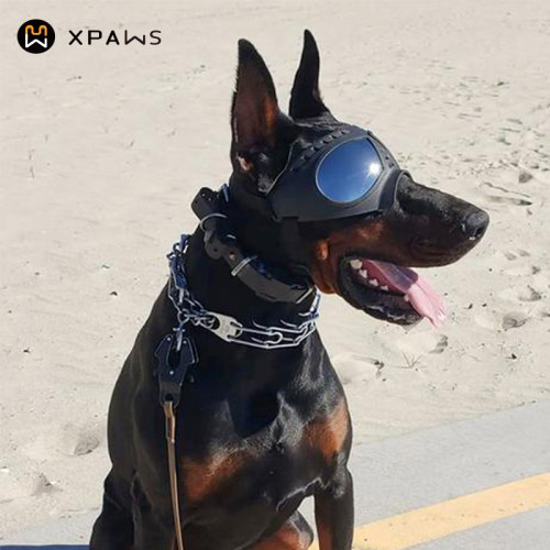 xpaws护目镜防水隔绝紫外线
