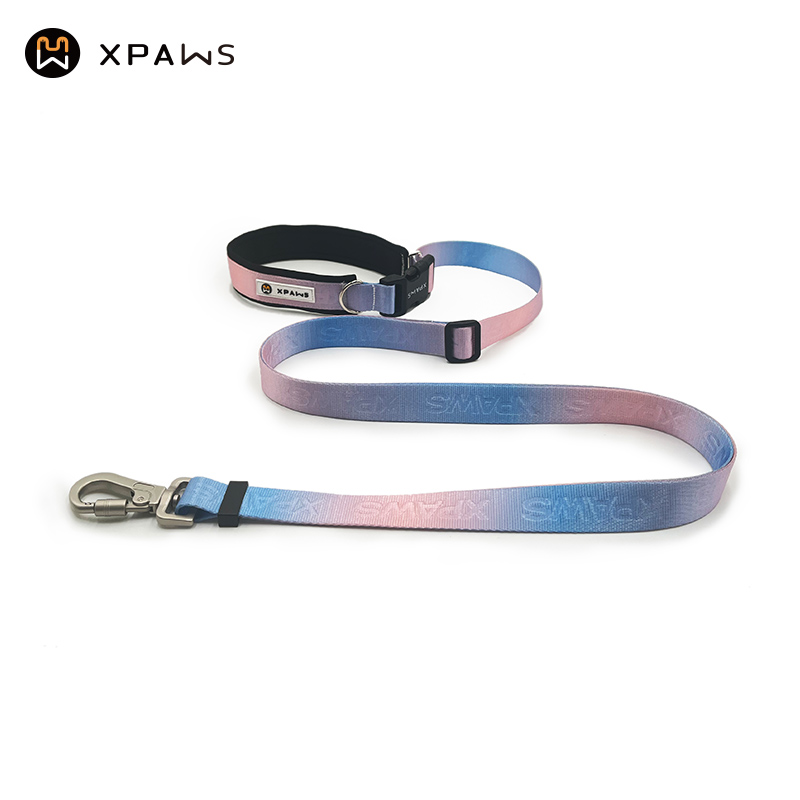 XPAWS牵引绳解放双手网红