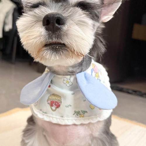 新款狗狗口水巾围脖可爱印花猫咪围领雪纳瑞时尚装饰围巾泰迪柯基