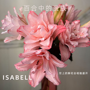 重瓣冰美人吸色布朗尼重瓣香水百合鲜花粉色顺丰快递云南基地直发