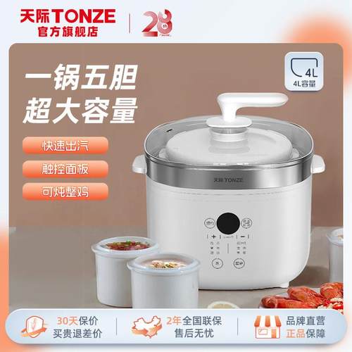 天际（家电） DGD40-40AG天际隔水炖电炖盅 燕窝炖陶瓷家用 煲汤