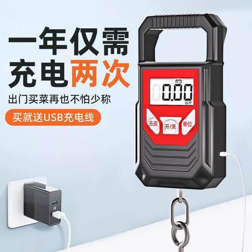 德国高精度手提电子秤家用弹簧小型便携迷你称鱼器手拿小巧吊勾称