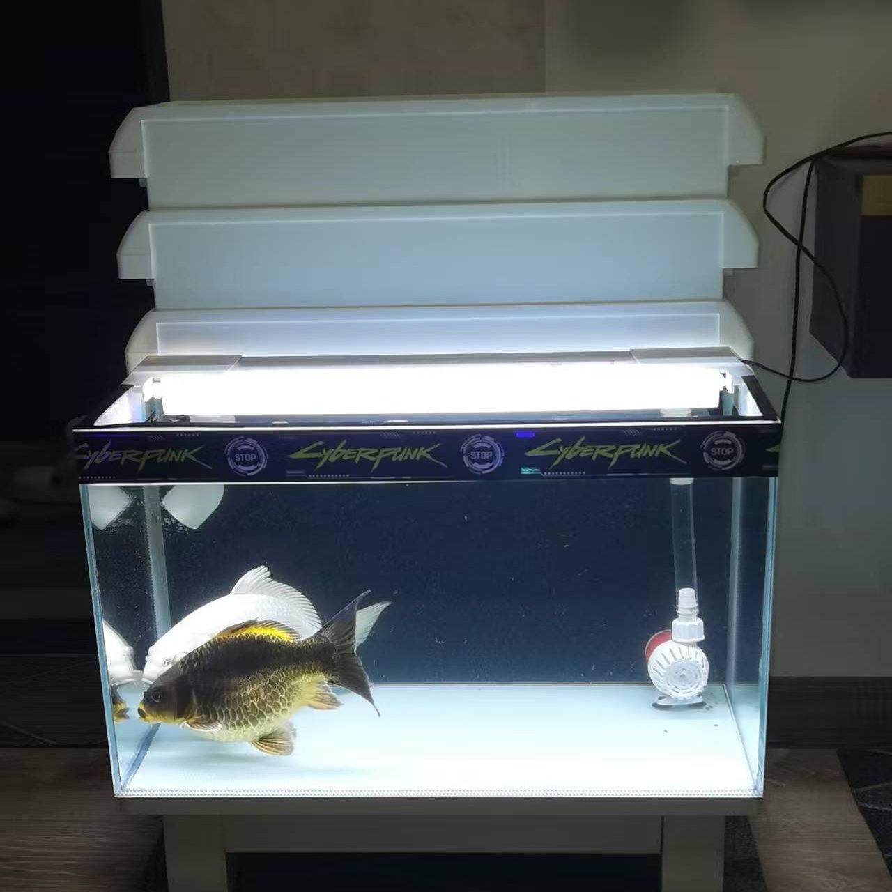 鱼缸龟缸过滤盒滴流盒周转箱干湿分离盒上置增氧循环系统净水滤材