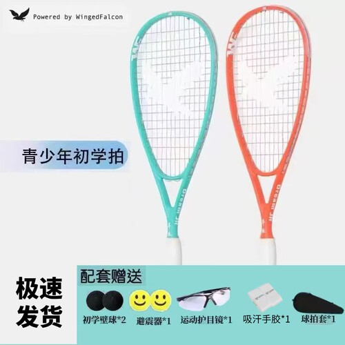 隼张儿童青少年专业壁球拍