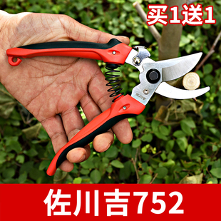 摘果疏果剪 佐川吉752园艺修枝剪左川吉园林剪刀工具果树剪自开式