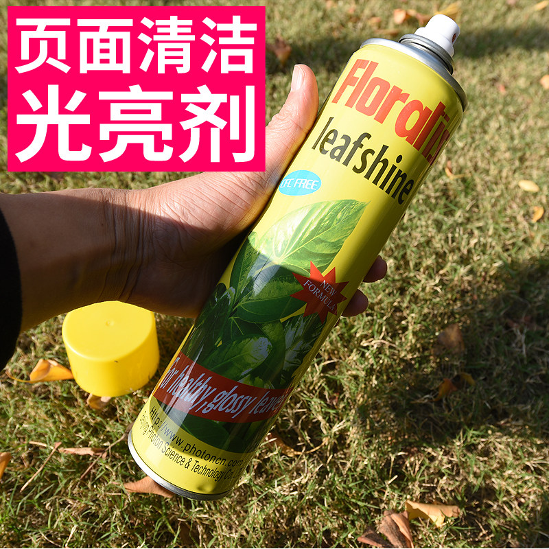 保康floreca可利鲜花卉植其它园艺用品