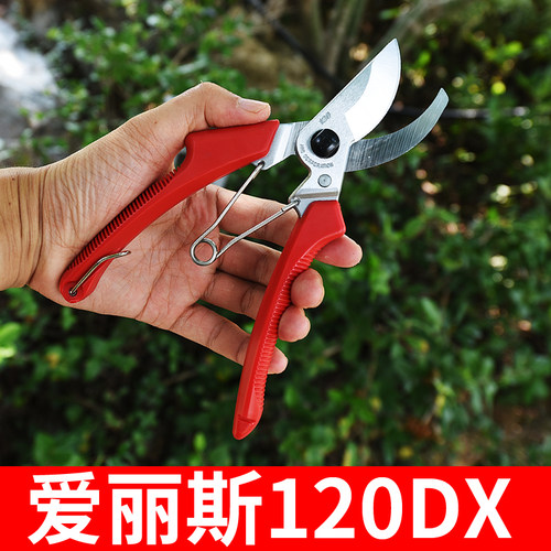 爱丽斯120DX修枝原装正品