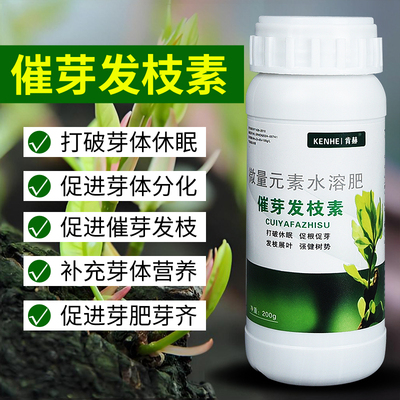 催芽剂发枝素植物细胞分裂素多肉茶叶苗木茶树促发芽爆芽素优芽素