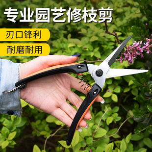 森川太郎稀果剪修枝采果芽剪刀 修花稀果摘果剪葡萄剪水果蔬疏果