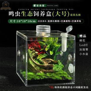蛐蛐鸣虫饲养盒新款高透明跳蛛微景观带照明观赏盒蟋蟀蝈蝈盒蜗牛