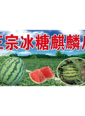 冰糖麒麟瓜海报贴画西瓜广告布地摊夜市摊广告装饰画贴画贴纸