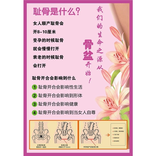 耻骨是什么产后耻骨联合分离骨盆修复海报展板KT板