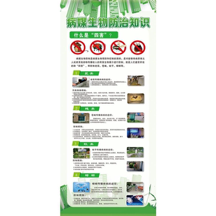 病媒生物防治知识海报展板墙贴墙纸装饰画