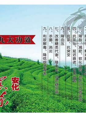安化黑茶海报展板黑茶的保健功效茶马古道墙贴墙纸安化黑茶挂图
