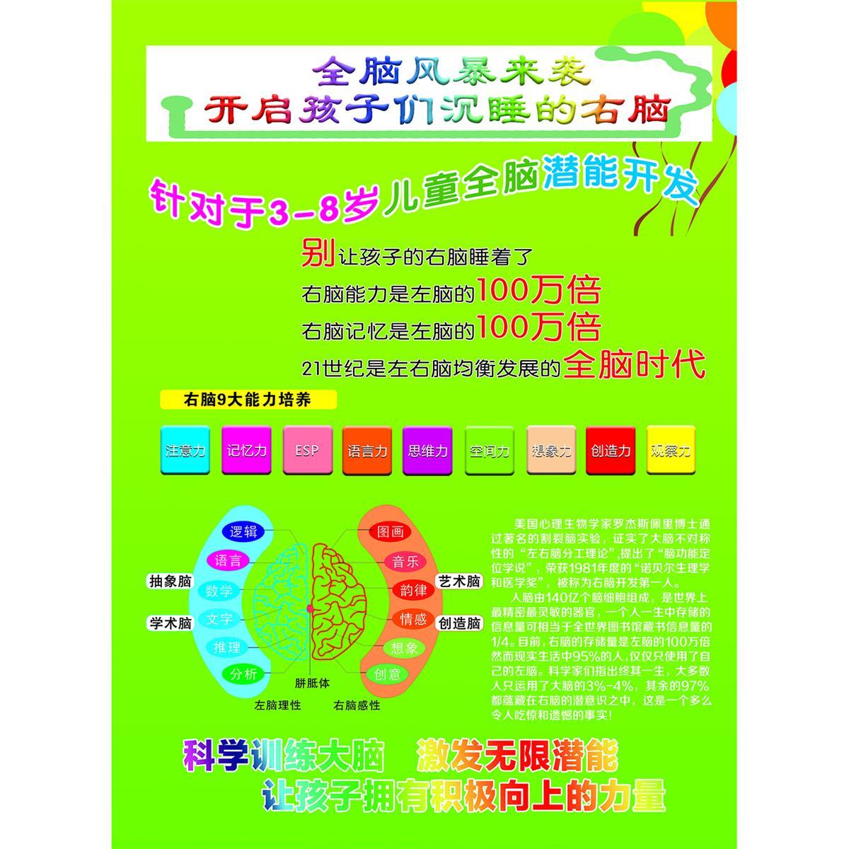 大脑开发示意图全脑全能教育宣传墙贴挂画纸喷绘海报印贴纸kt板