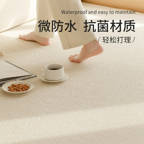 法风地毯2026新款客厅卧室地垫大面积家用加厚防水防滑硅藻丝高级 - 封面
