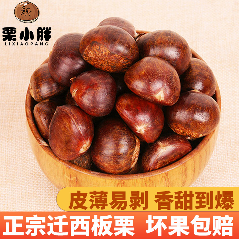 栗小胖正宗迁西板栗生新鲜大粒甜糯燕山生栗子油栗毛甜板粟蔬菜
