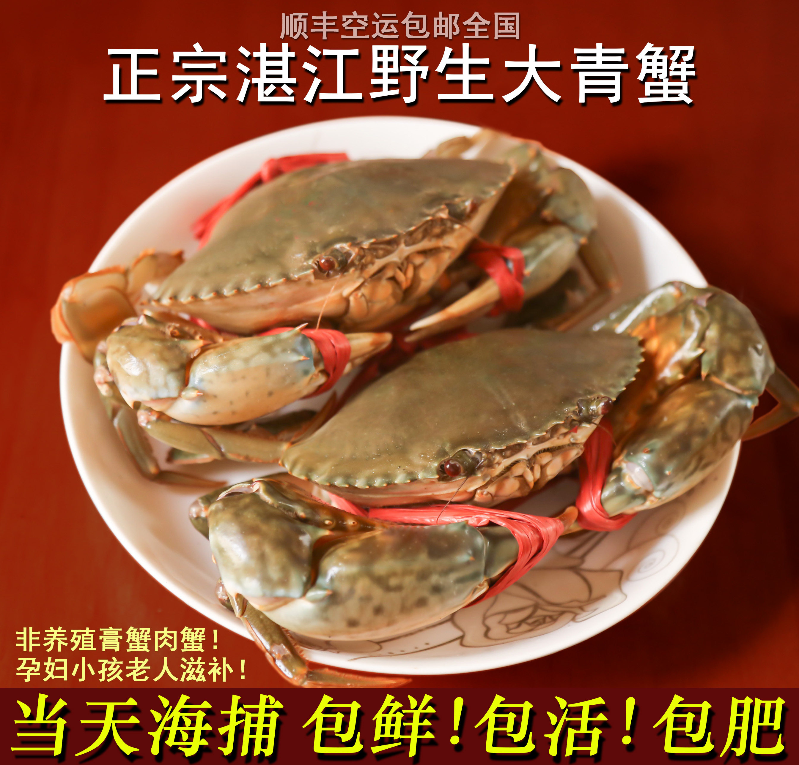 湛江鲜活天然大青蟹 特大 超大红膏蟹酱肉醉螃蟹 海捕青蟹500g