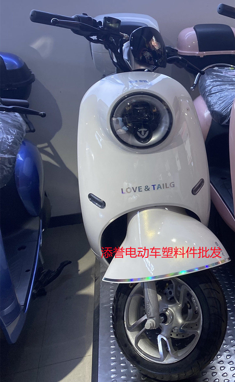 台铃中沙王电瓶车Q300全套