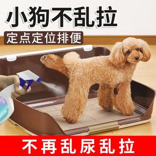 狗定点上厕所神器排便小型犬拉屎神器训练宠物狗诱导剂防猫乱尿