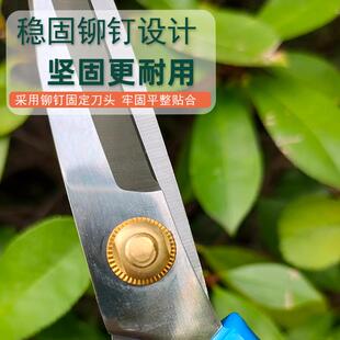 家用多功能不锈钢厨房剪园艺修花剪刀 935花艺剪插花修枝剪
