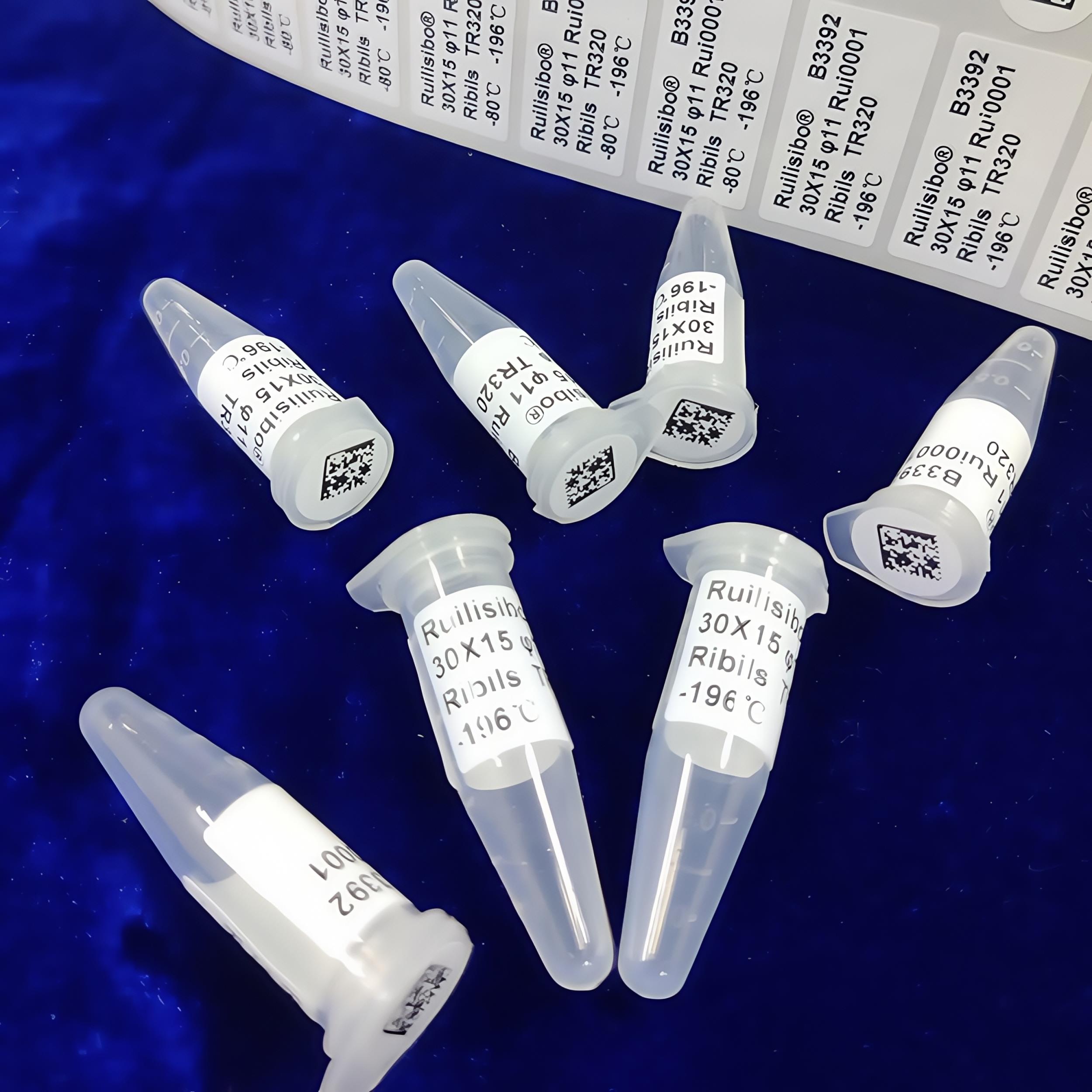 30*20科研液氮冷冻存管2ml液氮生物医疗离心管标记管理耐低温标签