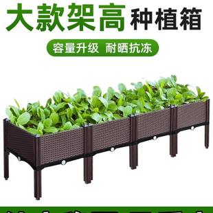 蔬菜种植箱种菜神器家庭阳台长方形花盆菜园省空间塑料特大架高