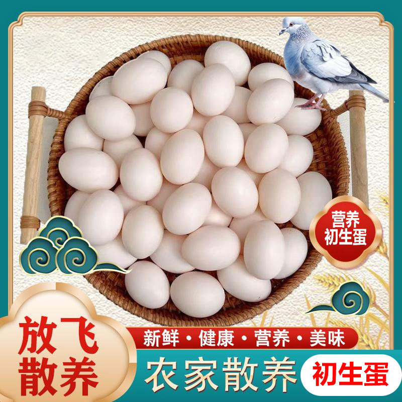 正宗农家散养鸽子蛋新鲜30枚礼盒白鸽蛋辅食90枚10枚100枚土鸽蛋,水产肉类/新鲜蔬果/熟食,鸽蛋,淘宝优惠券,粉丝福利购,淘宝优惠卷