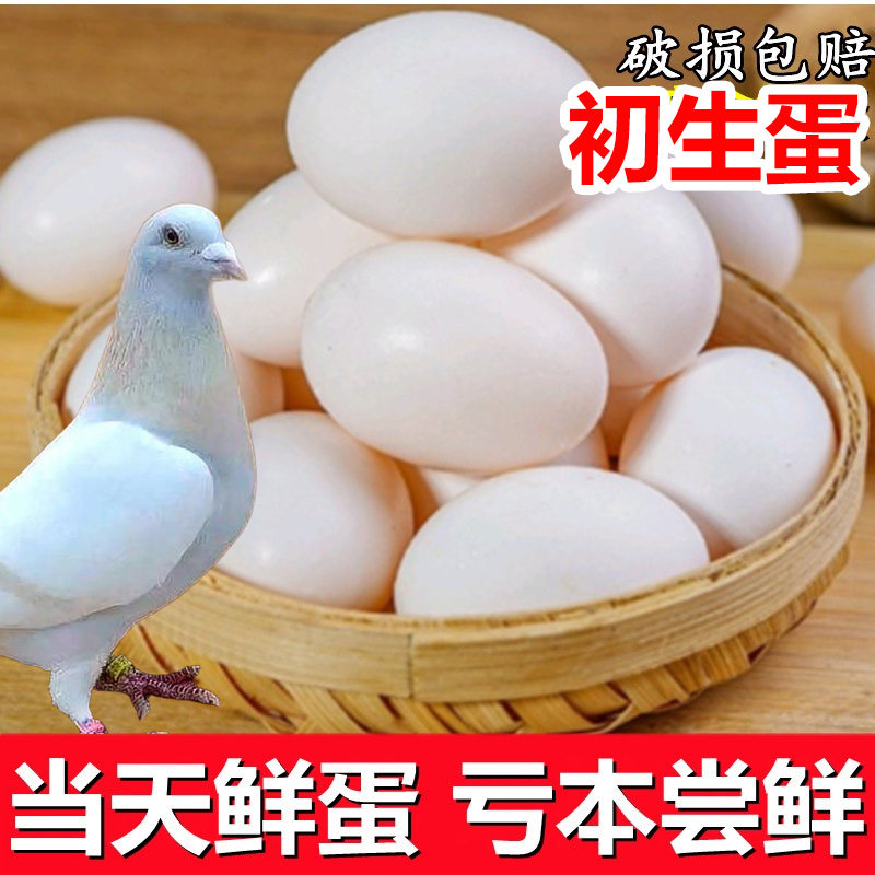 新鲜鸽子蛋正品杂粮喂养新鲜鸽蛋农家散养白鸽蛋30枚个装100枚,水产肉类/新鲜蔬果/熟食,鸽蛋,淘宝优惠券,粉丝福利购,淘宝优惠卷