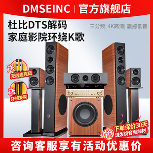 DMSEINC 家用KTV客厅环绕音箱蓝牙4K功放机 5.1家庭影院音响套装