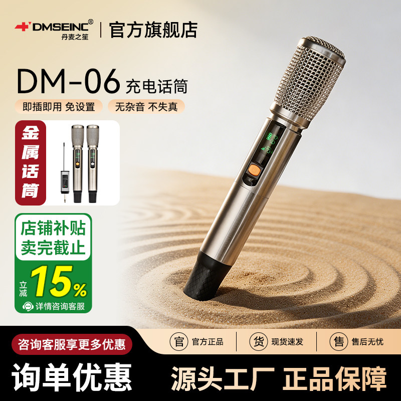 DMSEINC 无线充电话筒 音响音箱功放户外K歌通用一拖二麦克风