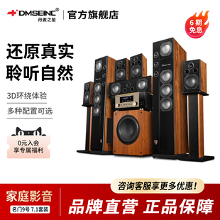 DMSEINC 杜比全景声环绕家用K歌音箱 名门9号家庭影院音响7.1套装