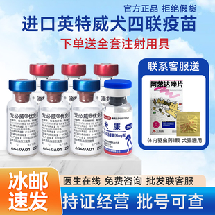 顺丰 英特威进口小狗四联预防狂犬宠物狗狗育苗4联狗疫苗幼犬套餐