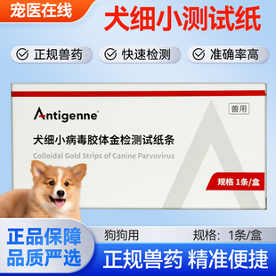 医院同款CPV犬细小病毒试纸狗狗细小病毒检测卡细小病毒检测卡1份