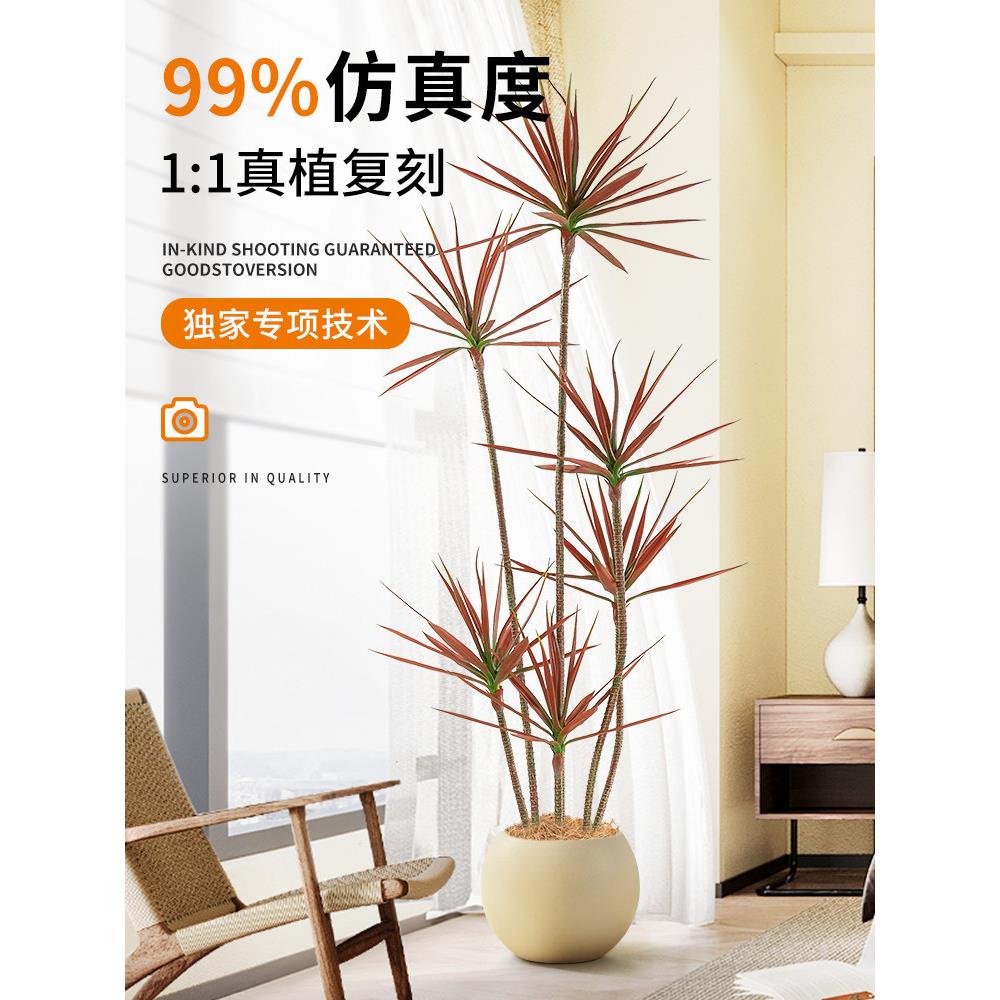 千年木模拟绿色植物客厅无障碍豪华装饰盆栽植物彷生龙血树室内地