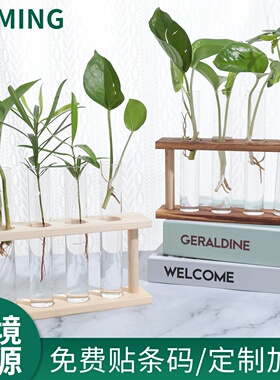 北欧ins 木架水培容器玻璃试管花瓶水养绿萝干花植物花器家居摆件