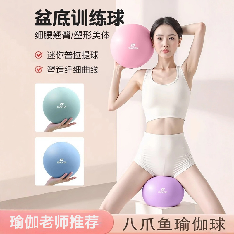 八爪鱼瑜伽球健身核心俞珈器材