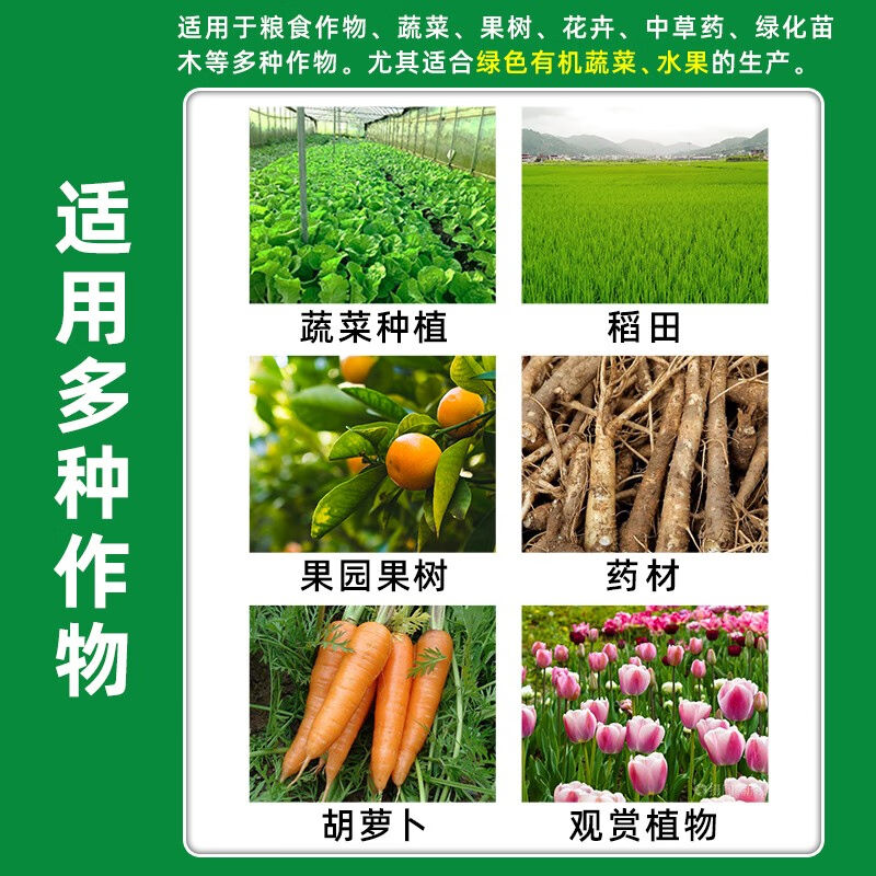 枯草芽孢杆菌微生物菌剂枯萎病根腐病白粉病青枯病灰霉病土传病害-封面