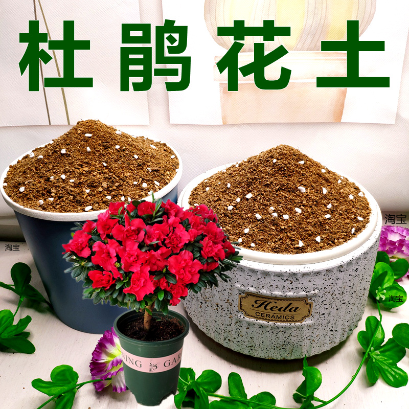 福建基地现配种植土！生根快！