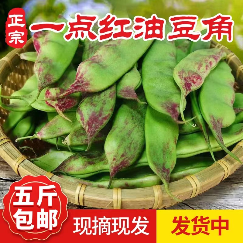 东北豆角新鲜油豆角一点红开锅烂面豆角宽扁油豆角现摘精选装包邮