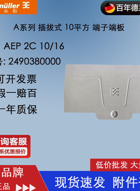 魏德米勒AEP 2C 10/16 A系列 插拔式 10平方 端子端板 2490380000