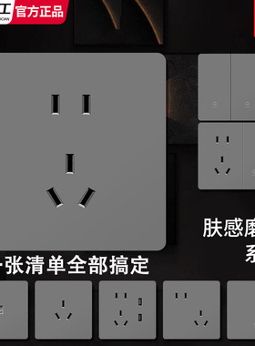 国际电工86型灰色暗装肤感一开5五孔单双控带USB墙壁开关插座面板