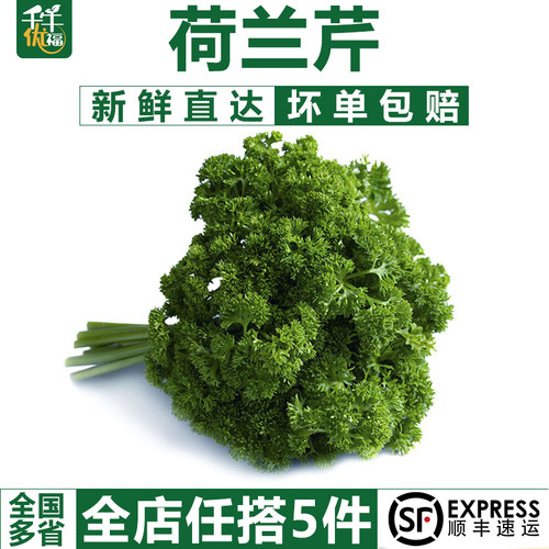 【千牛优福】荷兰芹新鲜摆盘装饰