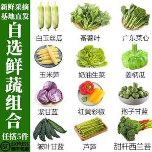 新鲜蔬菜自选组合精品时蔬农家自种基地直发现摘任选5件顺丰 包邮